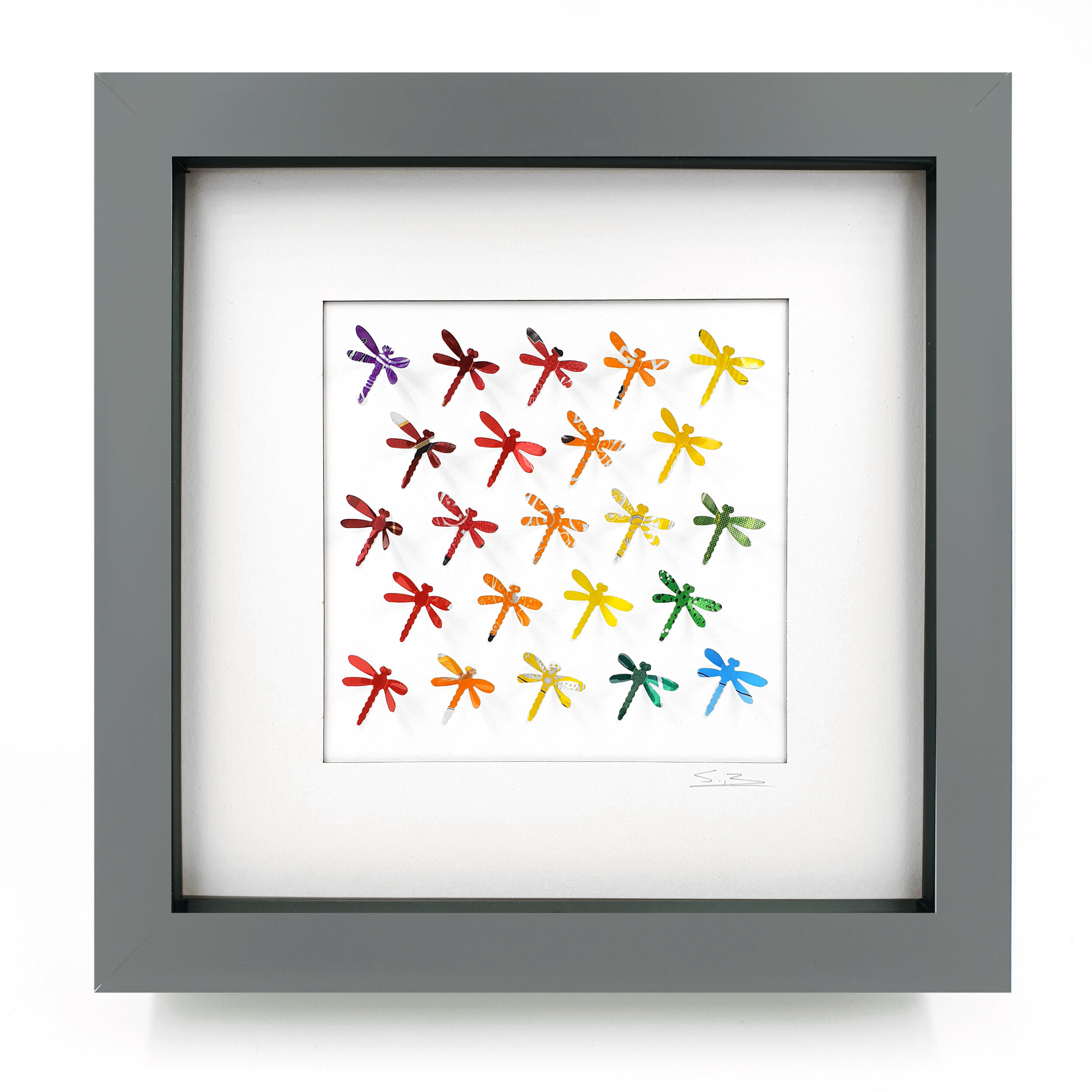 Rainbow Dragonflies colourful square contemporary eco art grey frame