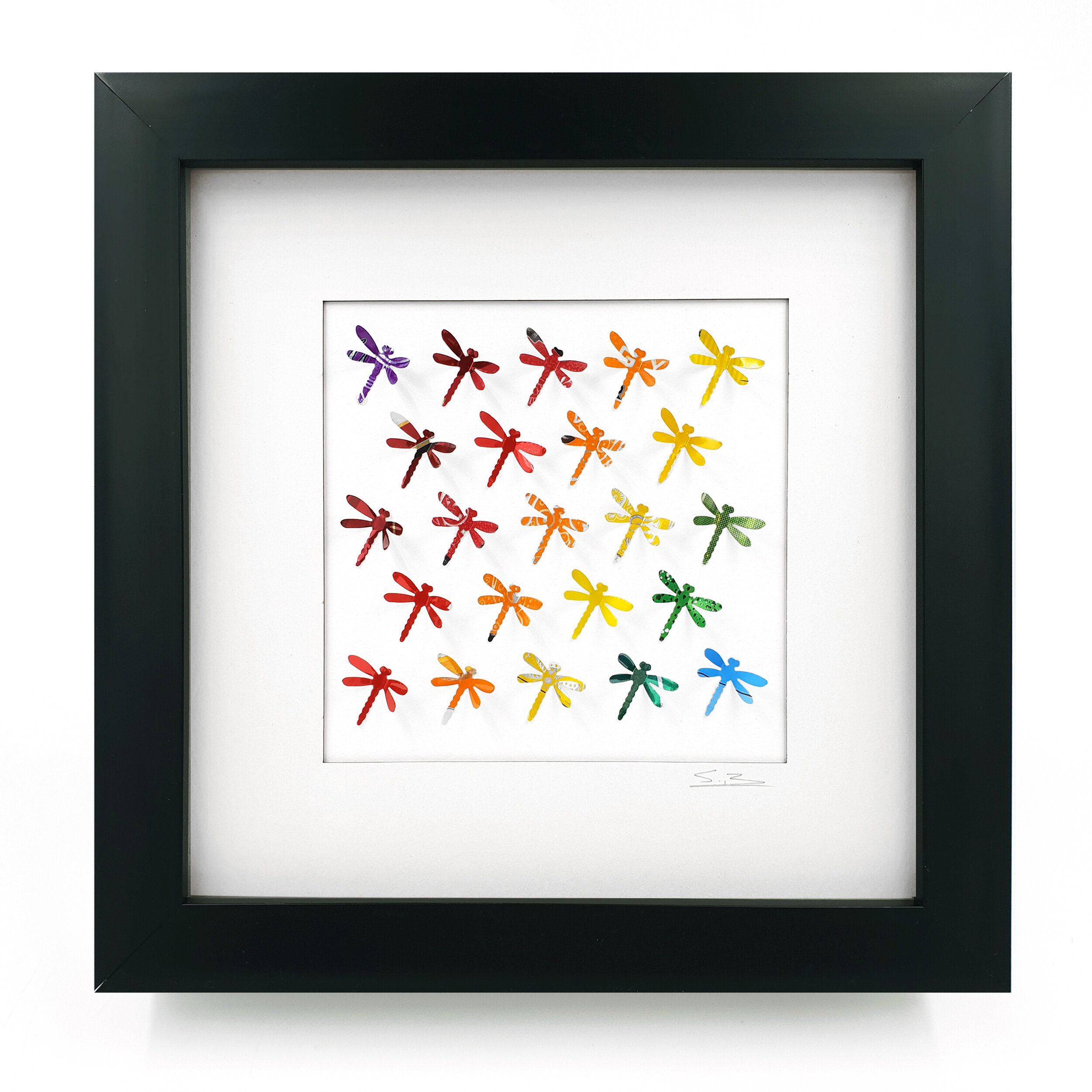 Rainbow Dragonflies colourful square contemporary eco art black frame