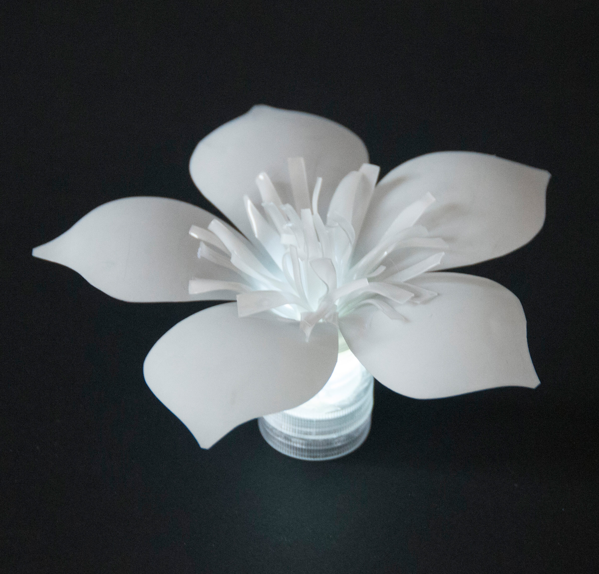 LED upcycled Plastic Bottle Flower sustainable design