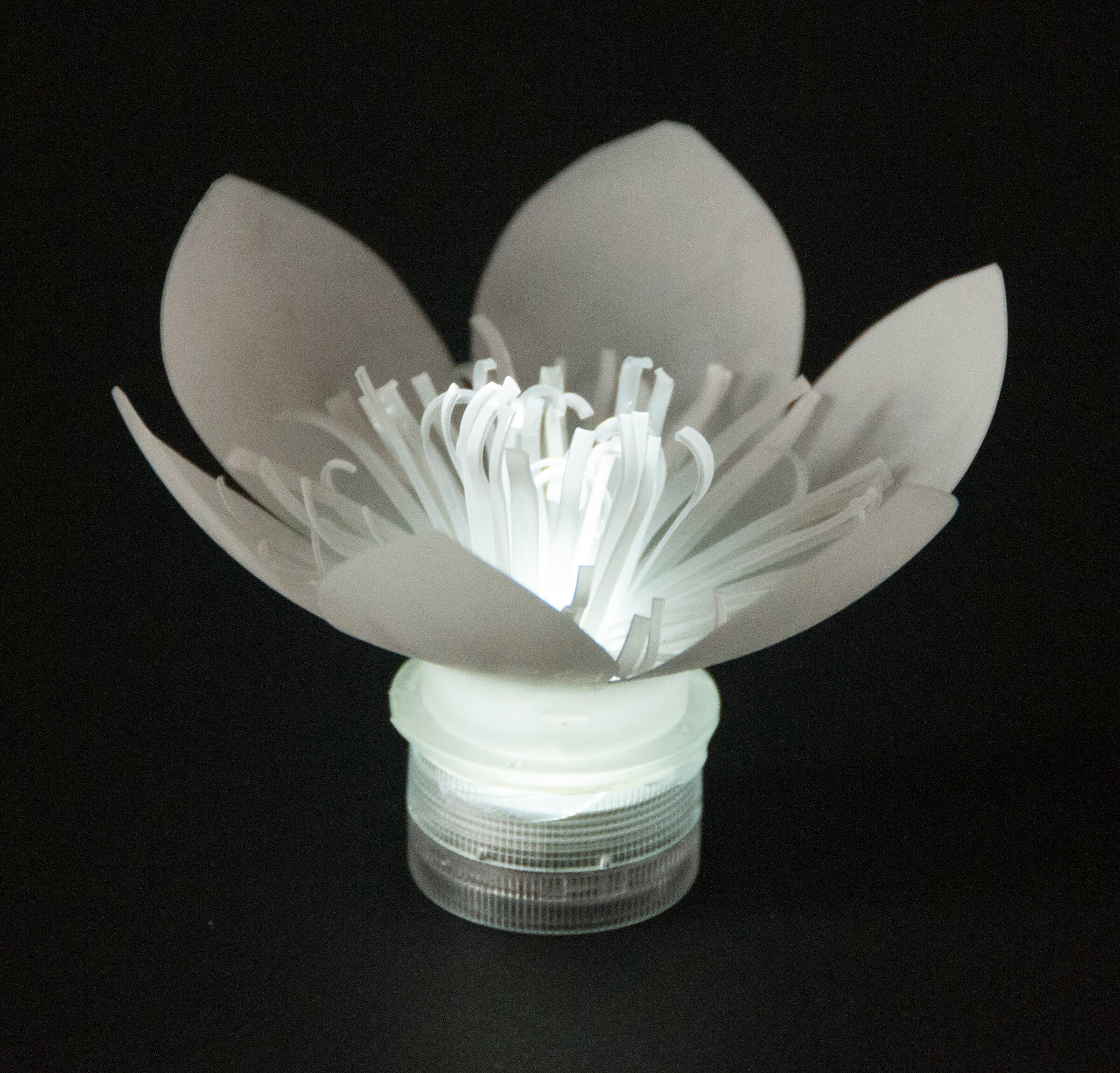 LED upcycled Plastic Bottle Flower sustainable design