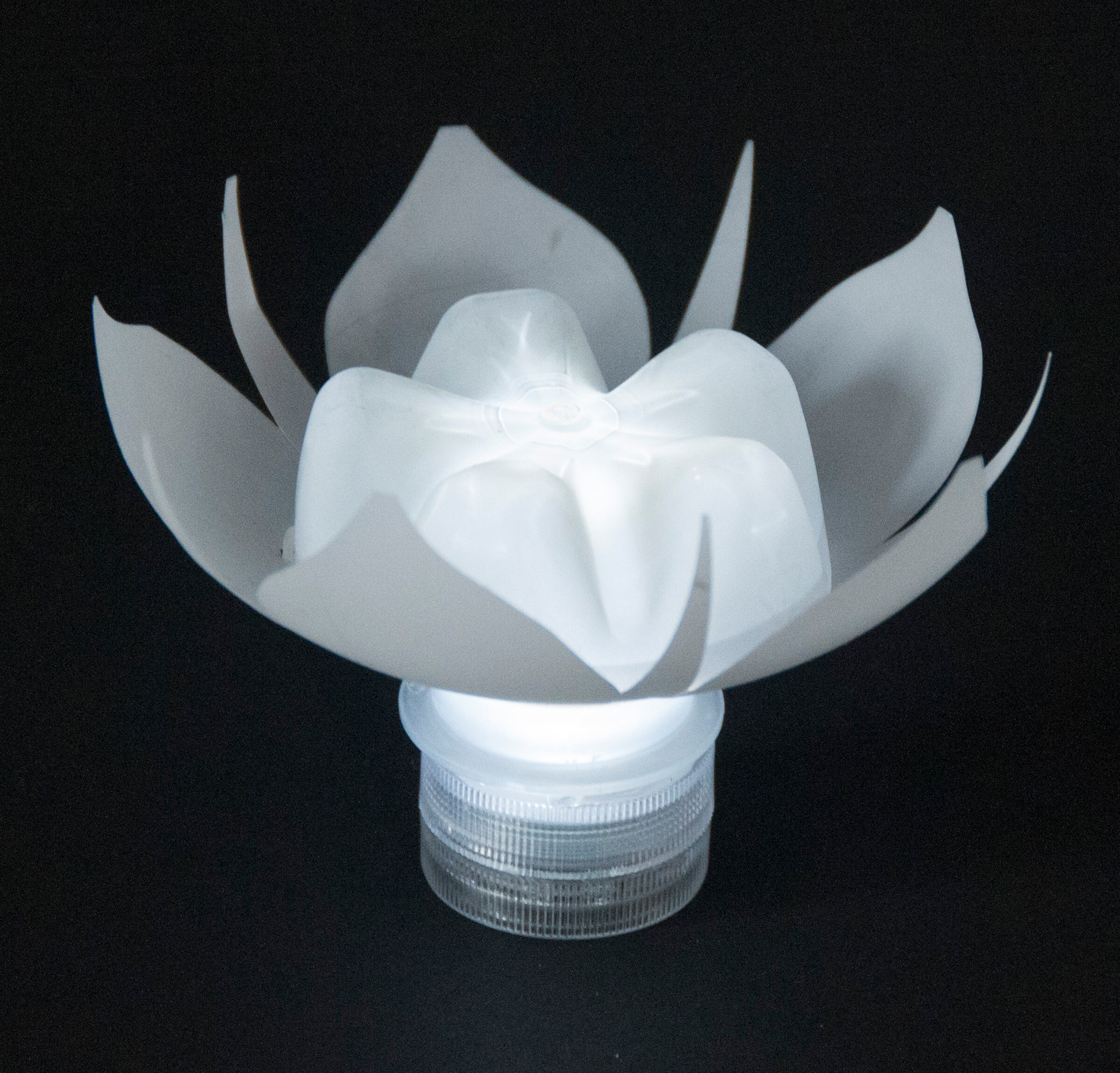 LED upcycled Plastic Bottle Flower sustainable design