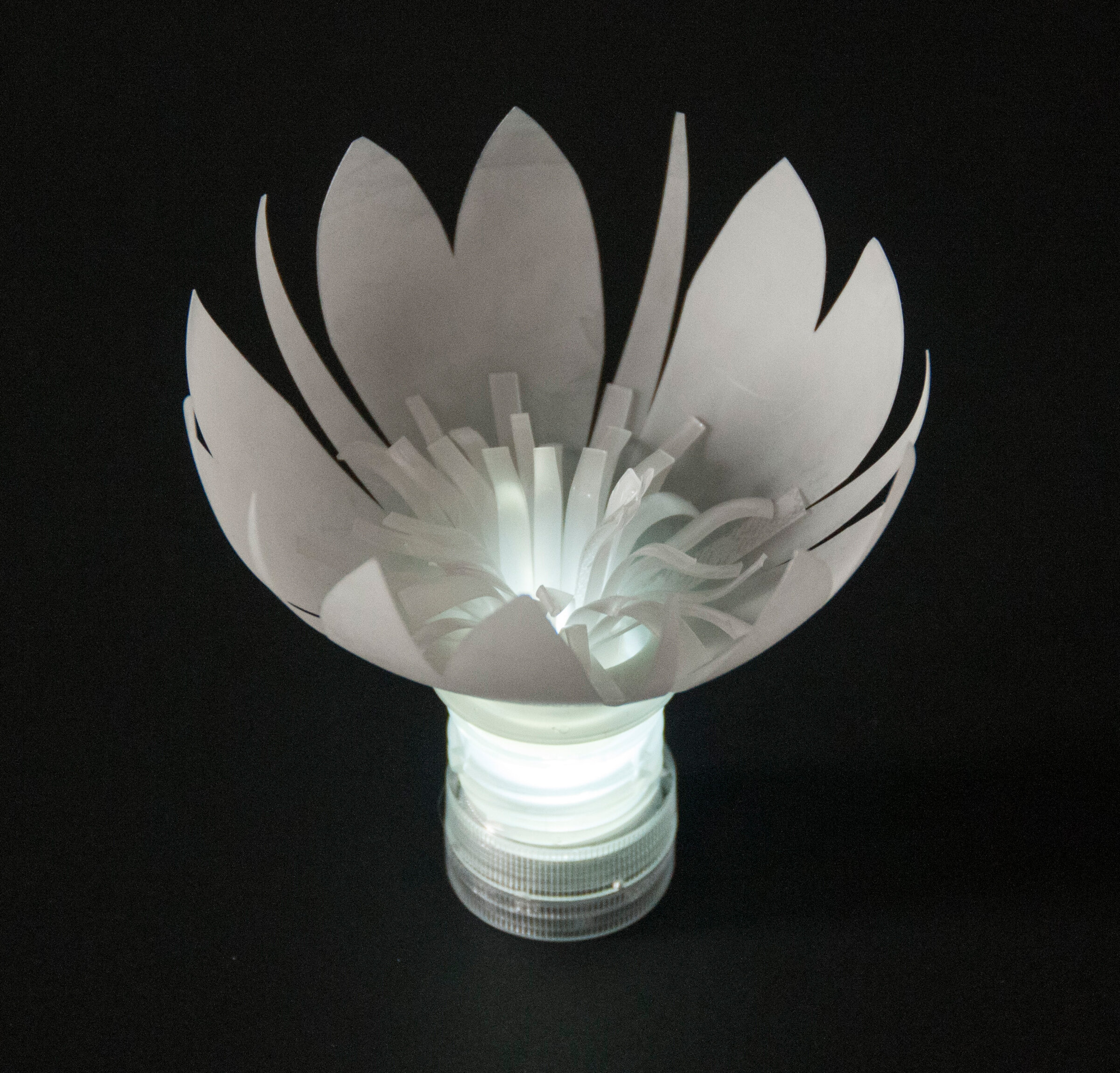 LED upcycled Plastic Bottle Flower sustainable design