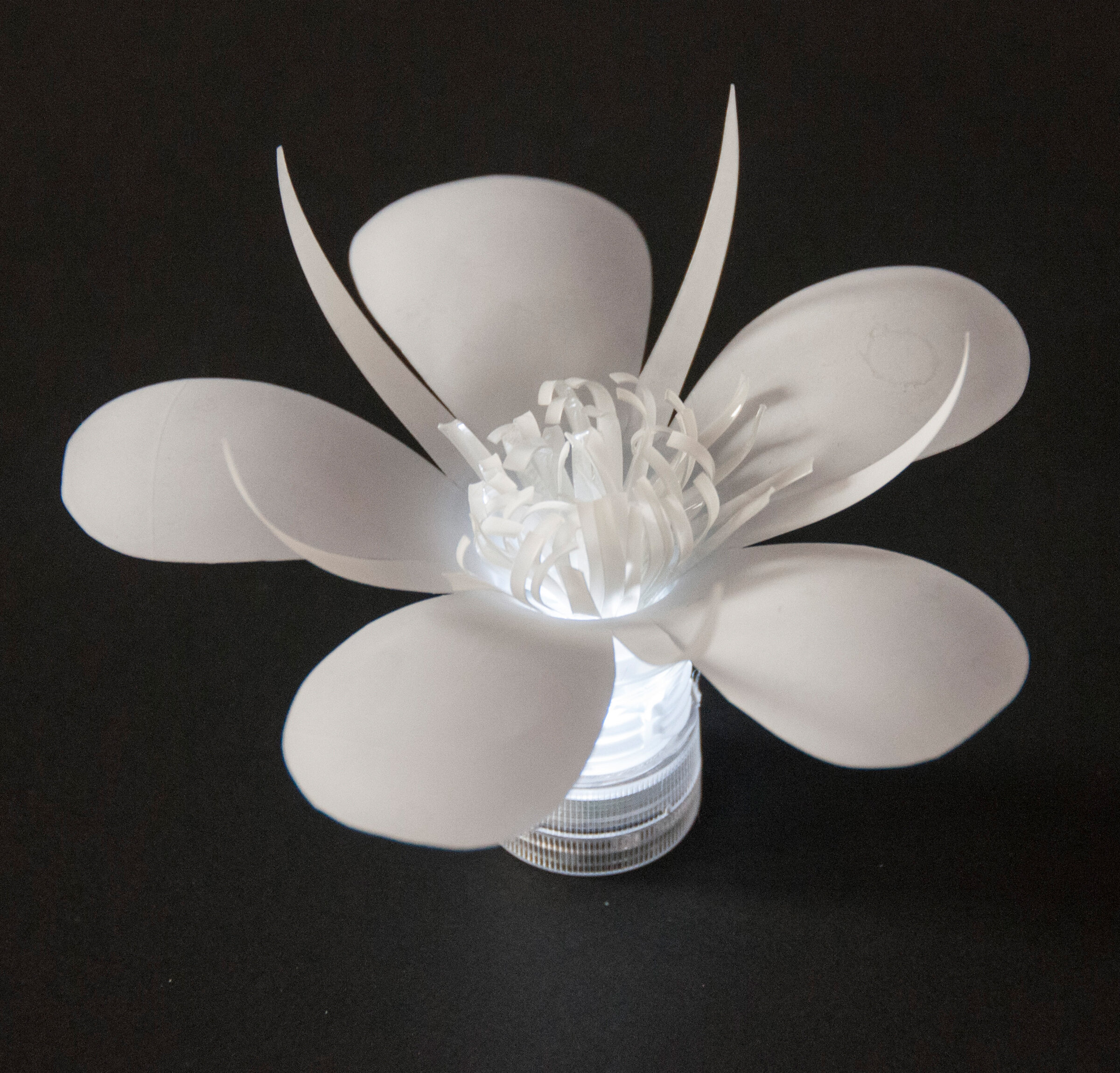 LED upcycled Plastic Bottle Flower sustainable design
