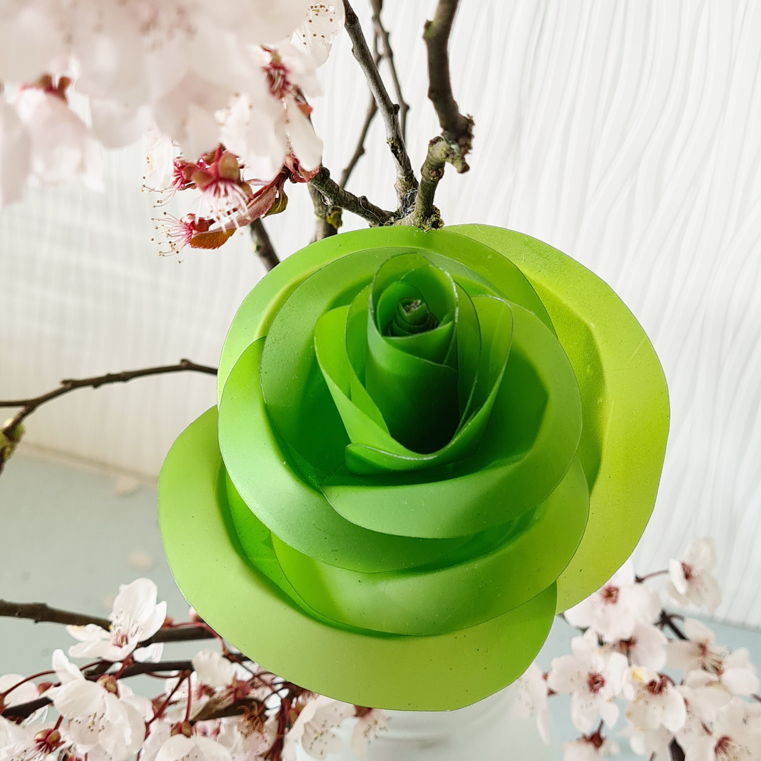 green Rose Single 1.jpg