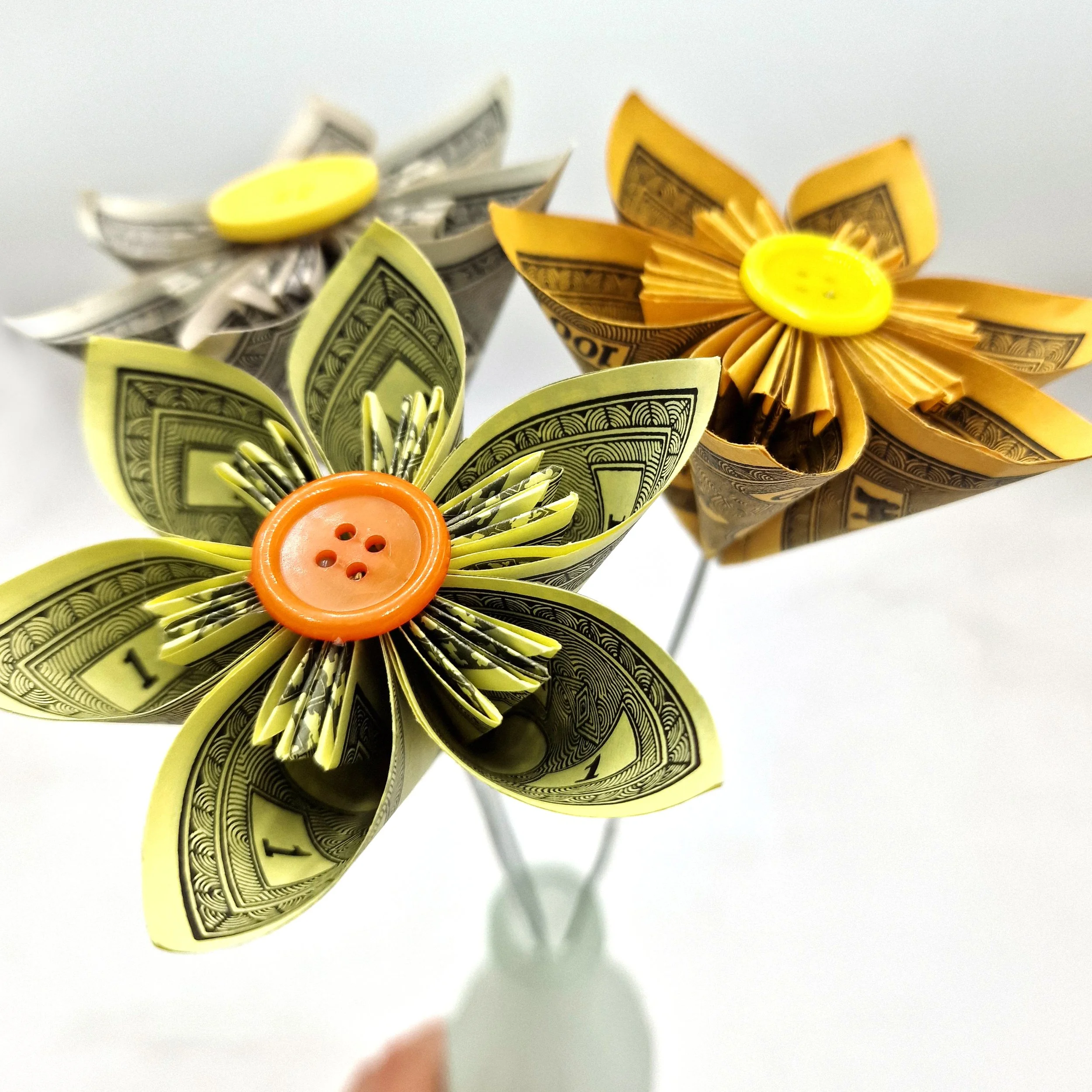 Daffodil Flowers 2.jpg