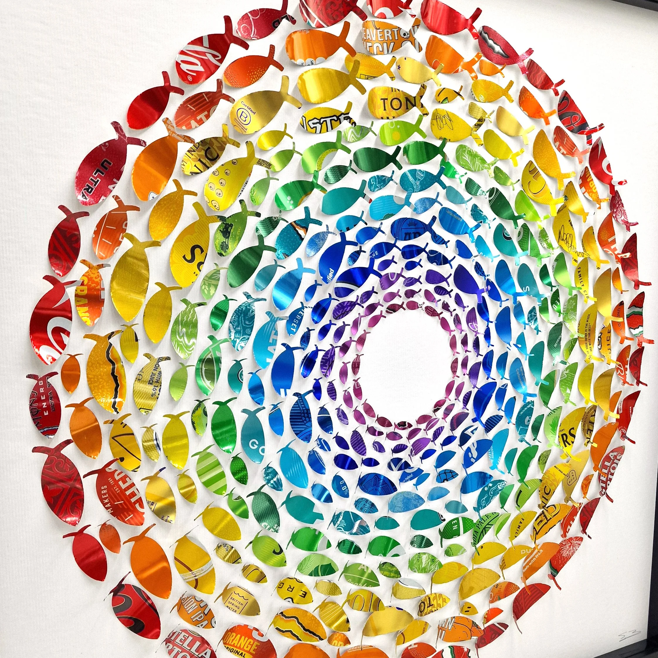 Rainbow Fish Circle Close Up 1.jpg