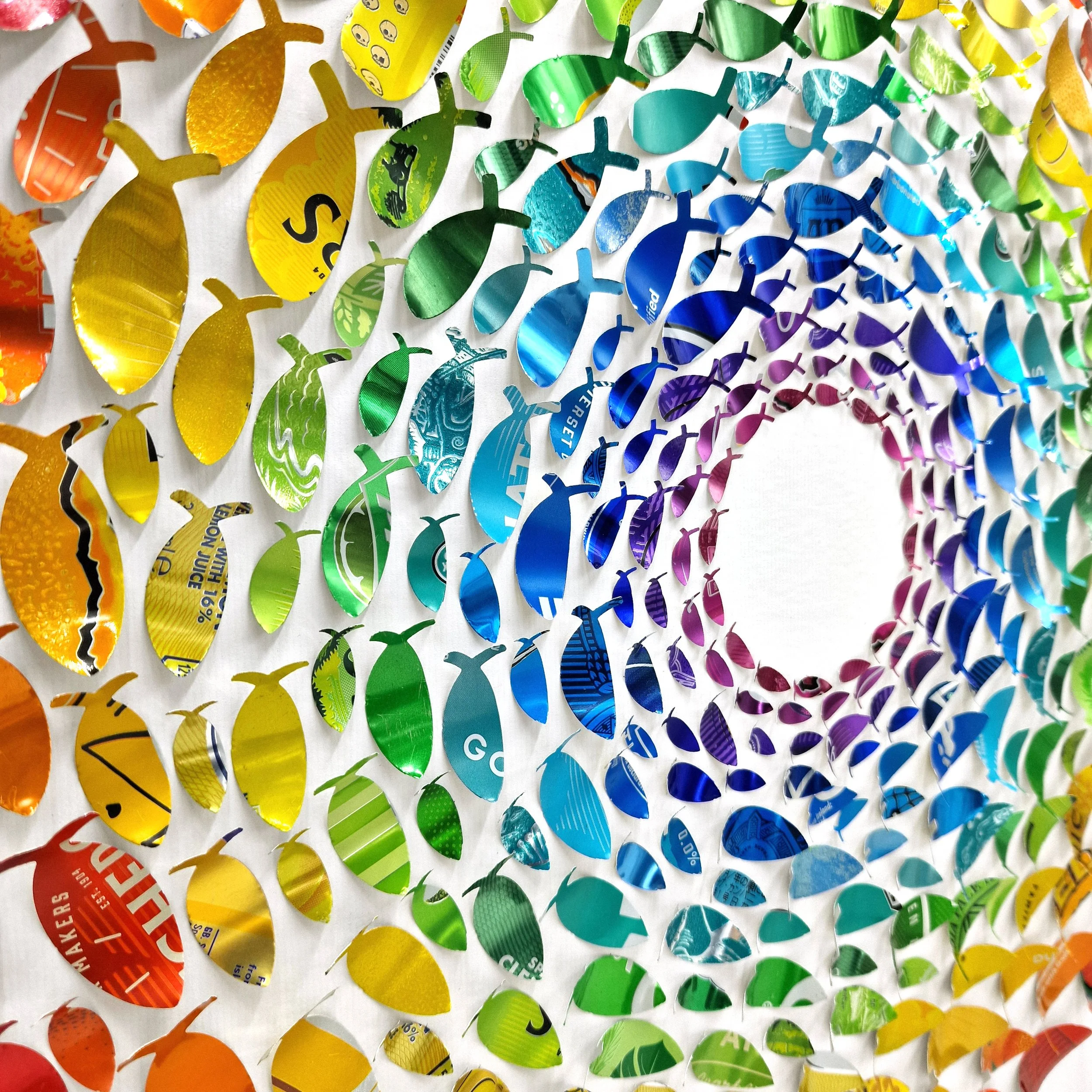 Rainbow Fish Circle Close Up 2.jpg