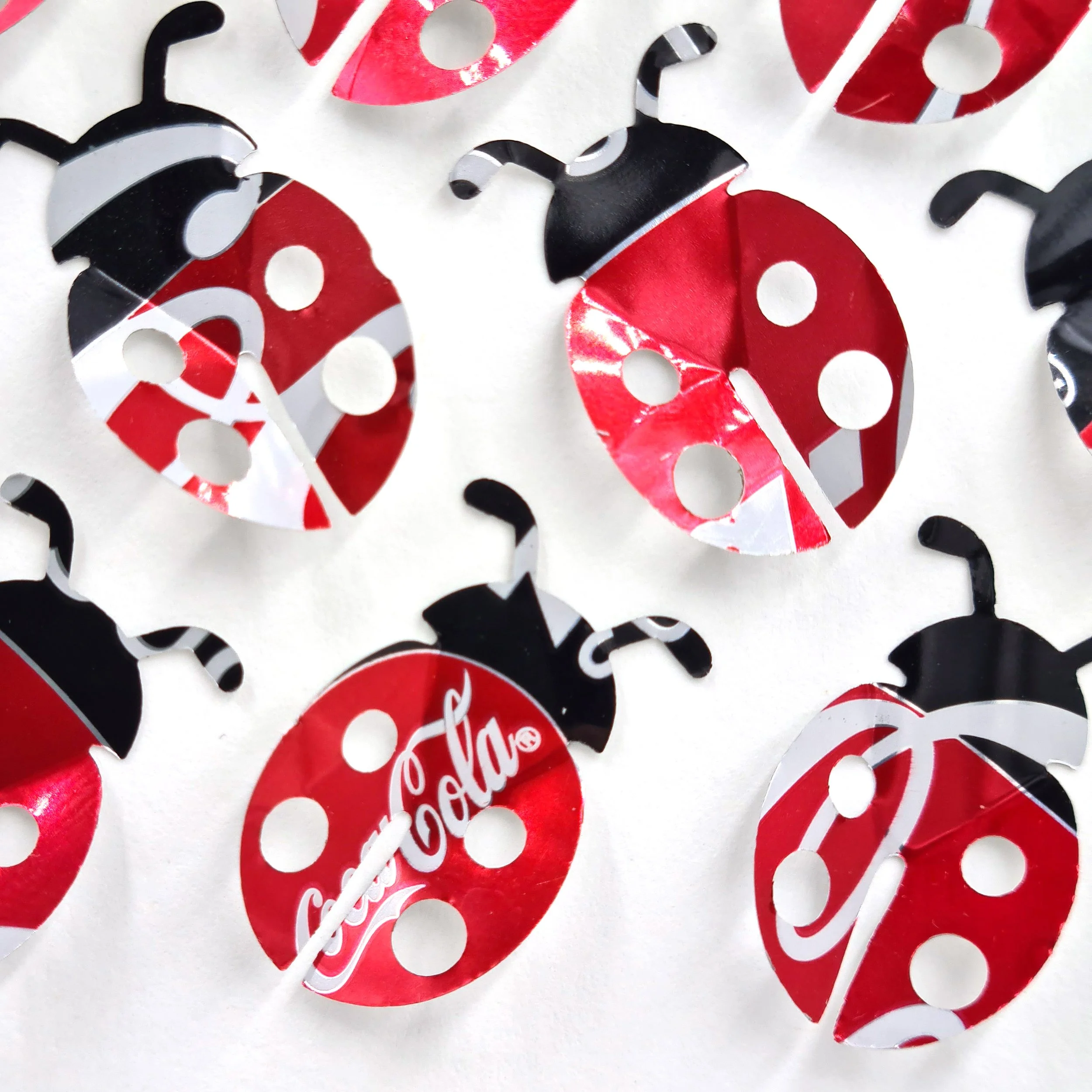 Ladybird Close up 2.jpg