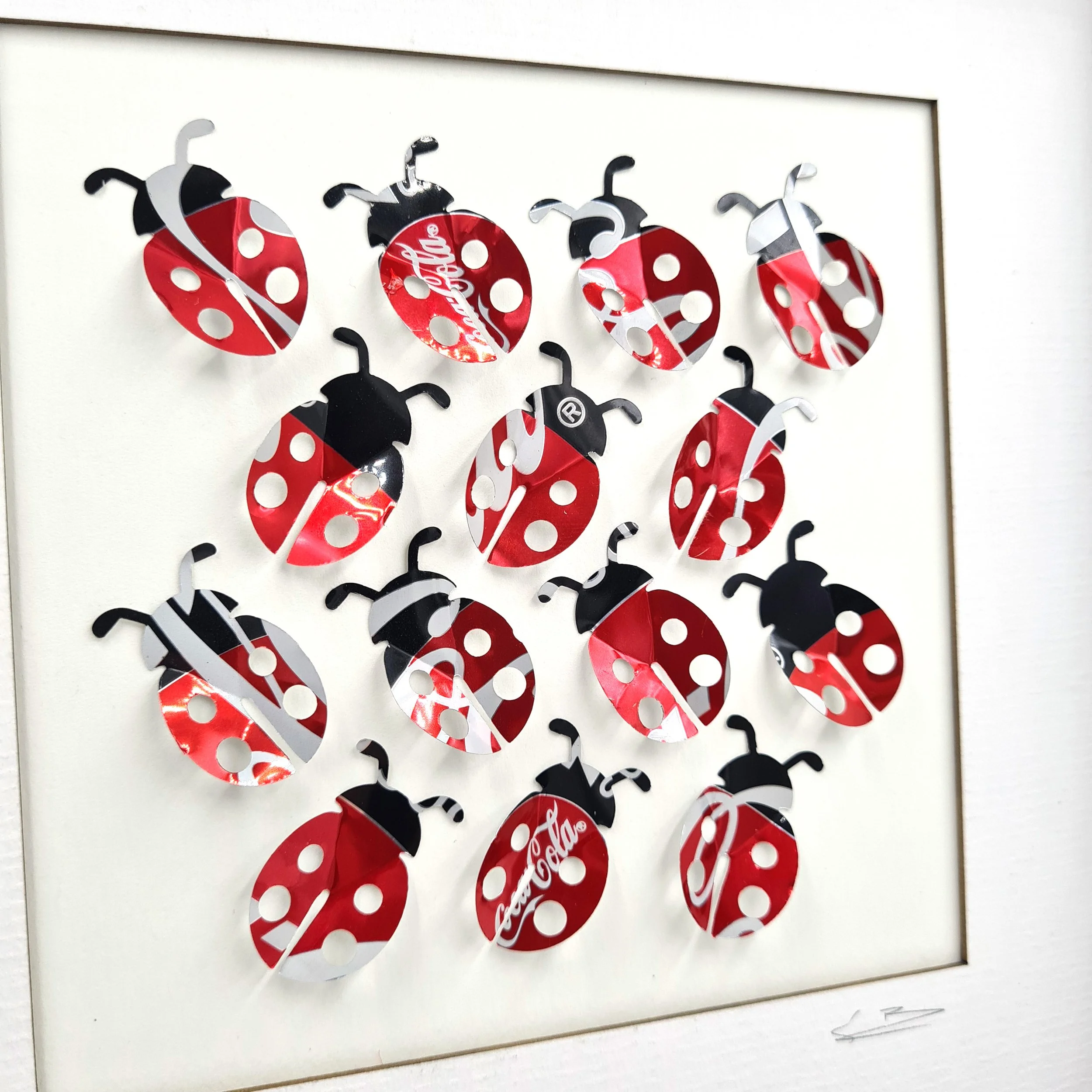 Ladybird Close up 3.jpg