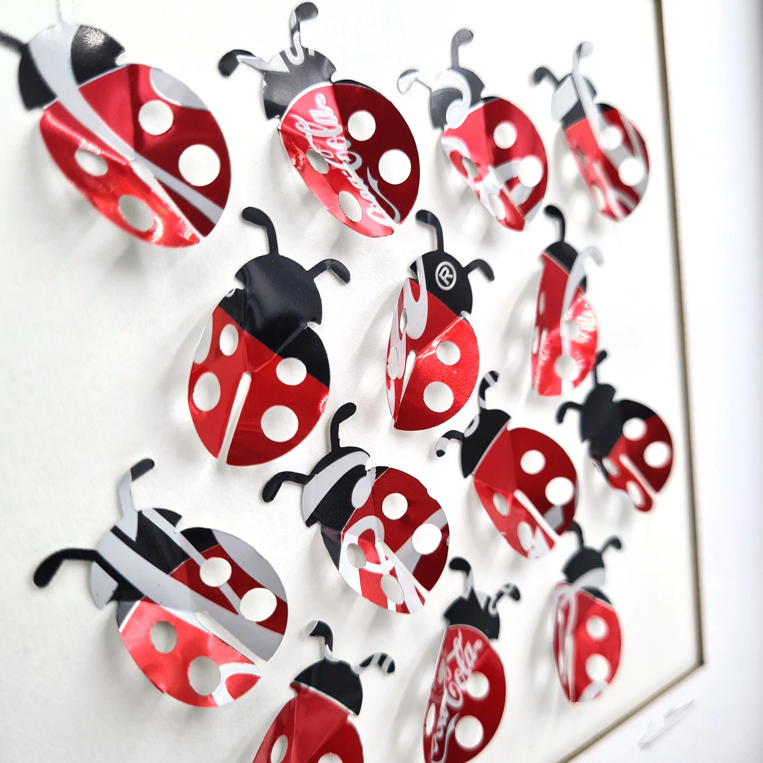 Ladybird Close up.jpg