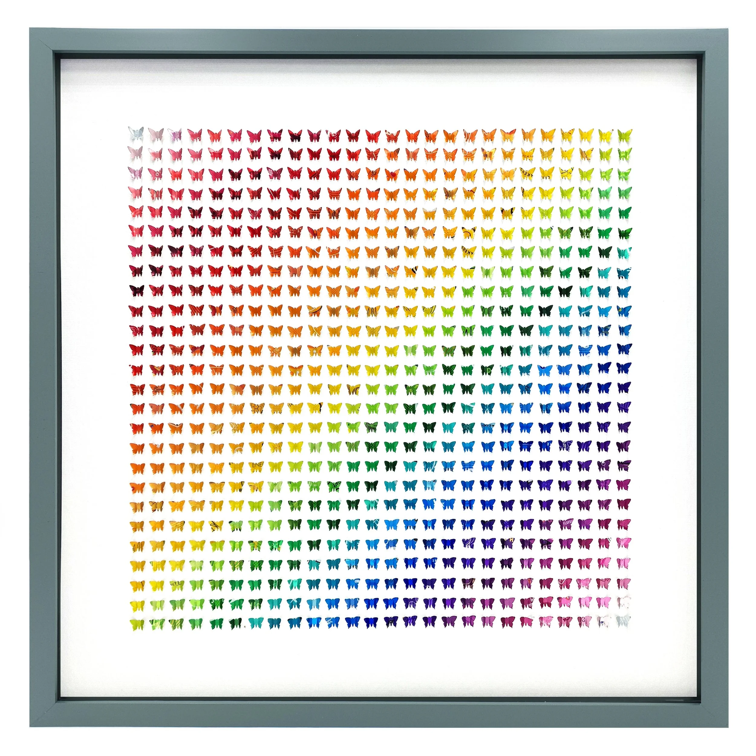 Micro Classic XL Grey Frame.jpg