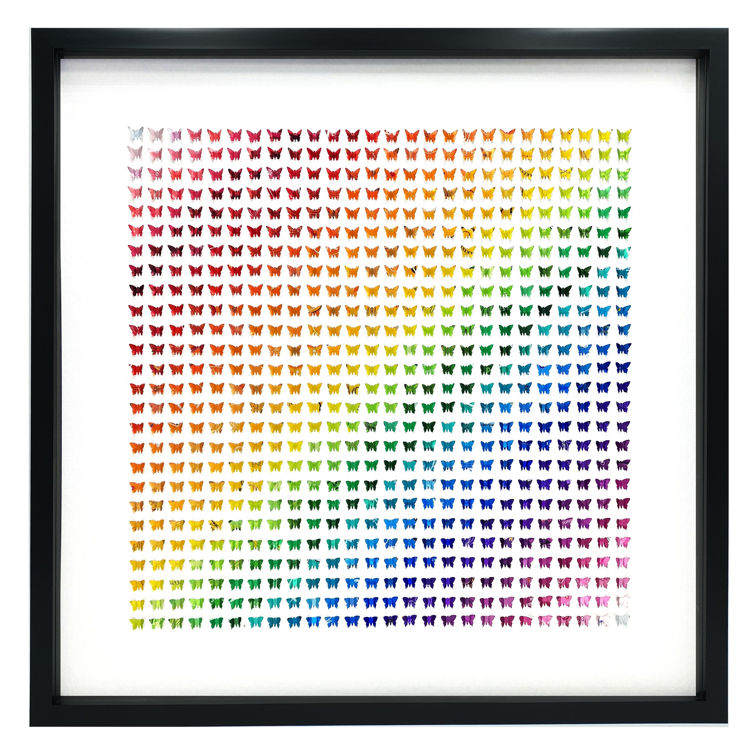 Micro Classic XL Black Frame.jpg