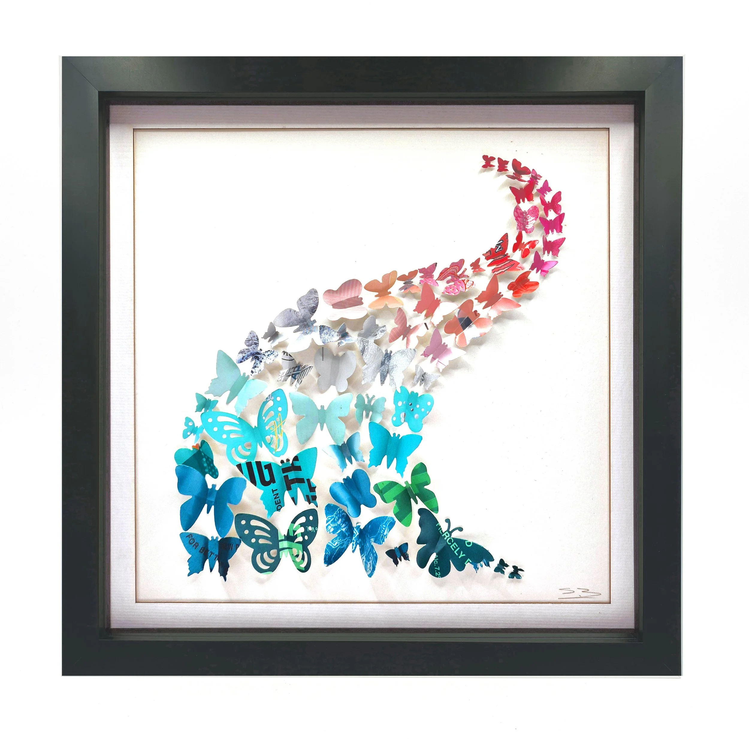 Fiesta Swoosh Black Frame.jpg