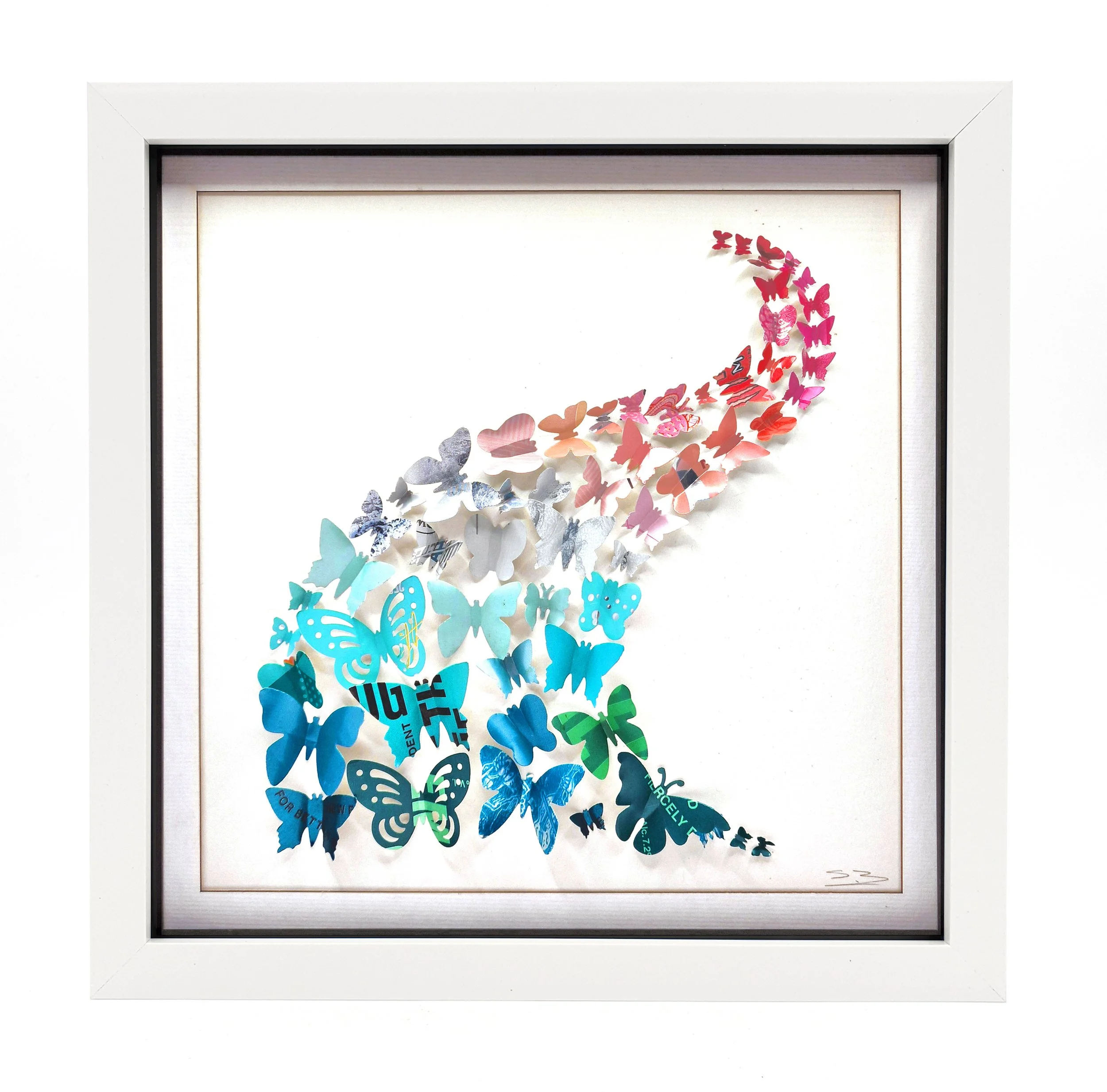 Fiesta Swoosh White Frame.jpg