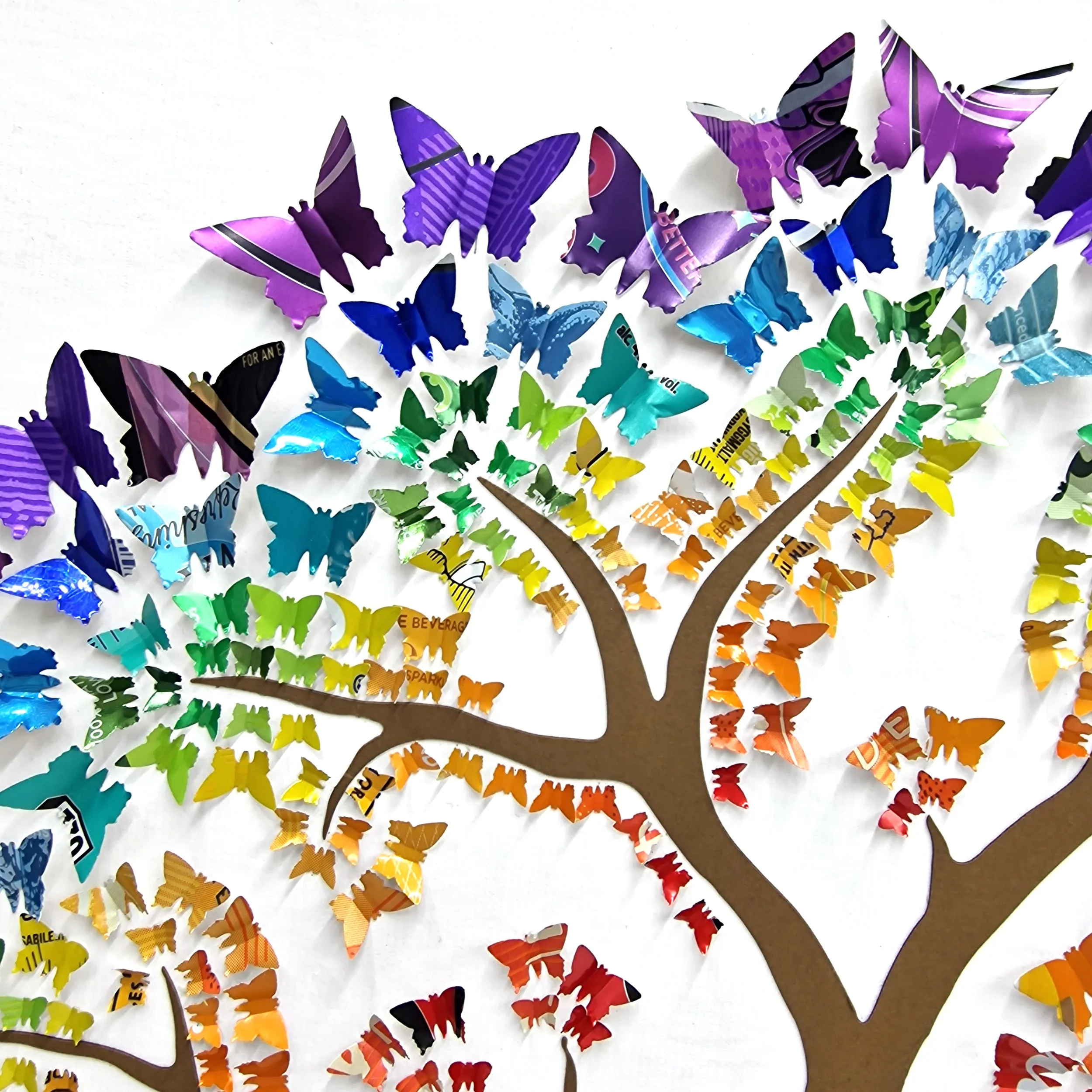 Reverse Rainbow Tree Close up 1.jpg