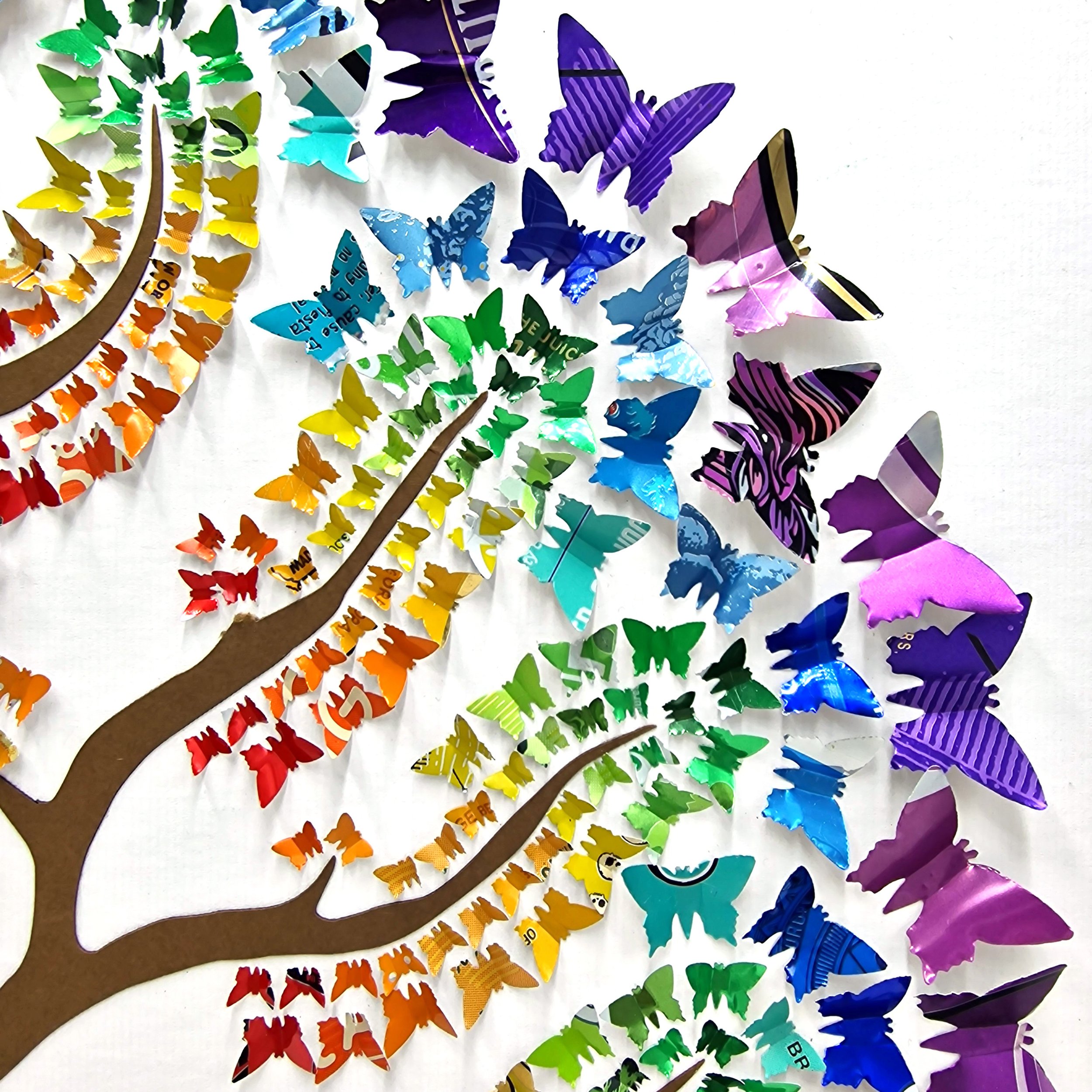 Reverse Rainbow Tree Close up 2.jpg