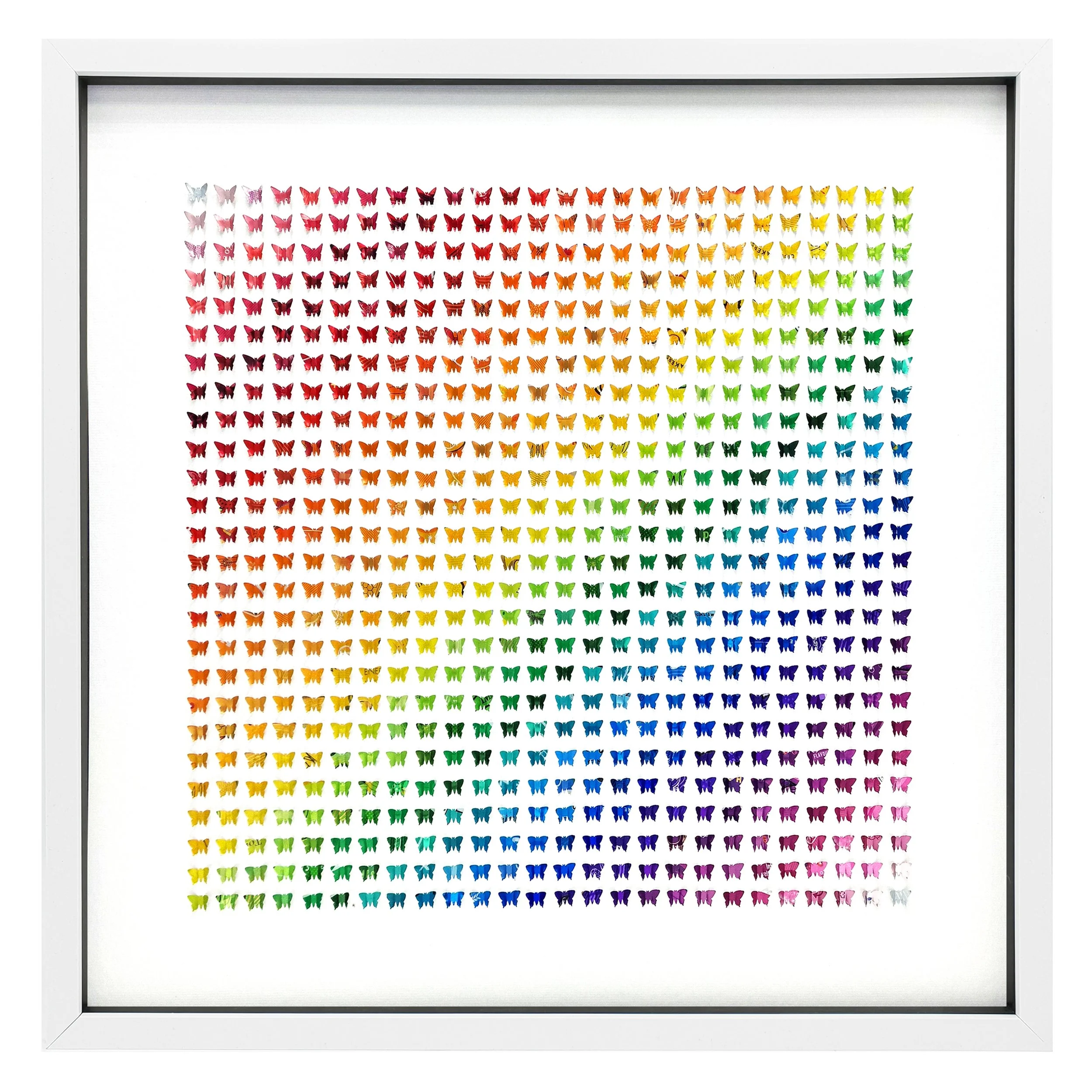 Micro Classic XL White Frame.jpg