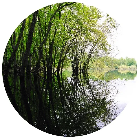 Website+Circle+Template+%2820%29.jpg
