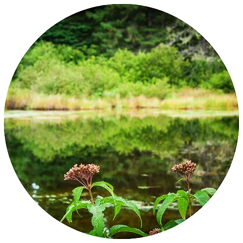 Website+Circle+Template+%2867%29.jpg