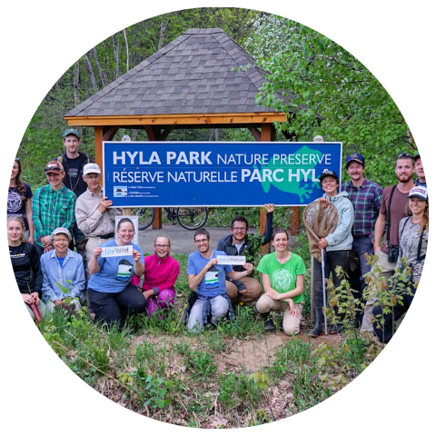 FRIENDS OF HYLA PARK
