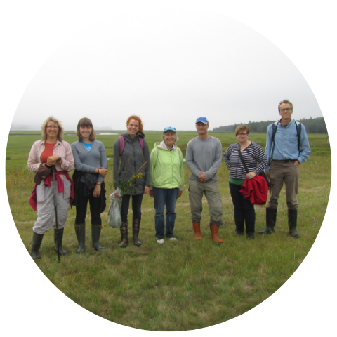 FRIENDS OF SAINTS REST MARSH