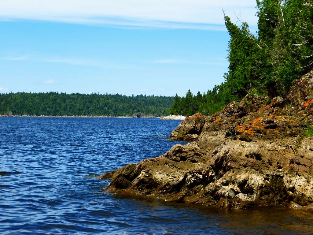Bære vækstdvale Ødelægge Boars Head Nature Preserve — Nature Trust of New Brunswick