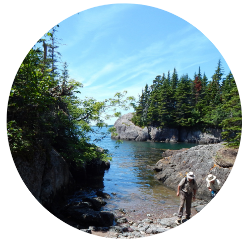 Copy of Website Circle Template (6).png