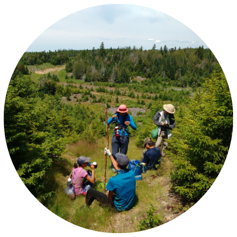 FRIENDS OF FRYE ISLAND