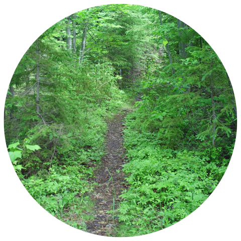 Website Circle Template - 2019-05-17T110721.014.png