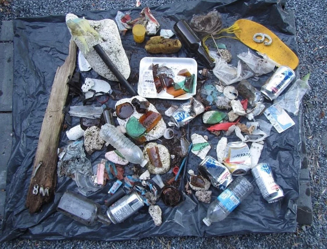 Photo: Plastic and other debris collected from the Rayworth Beach Nature Preserve by @trash_free_girl (Instagram).
