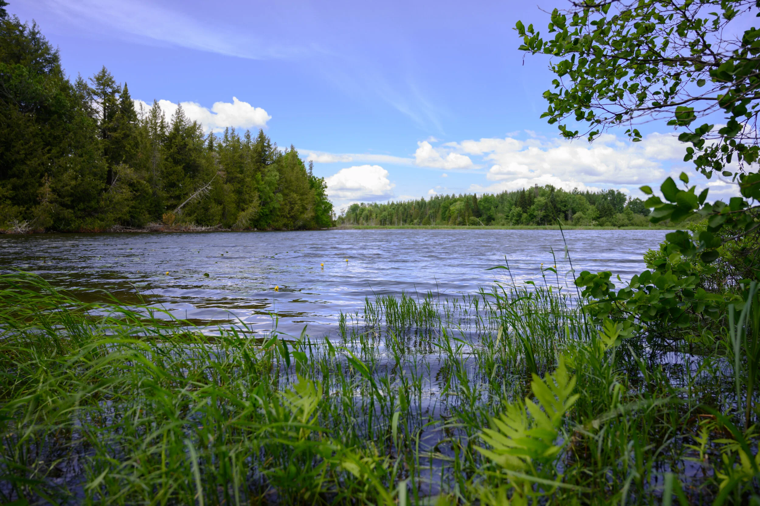 Hidden Lakes Nature Preserve — Nature Trust of New Brunswick
