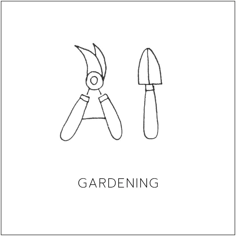 garden.jpg