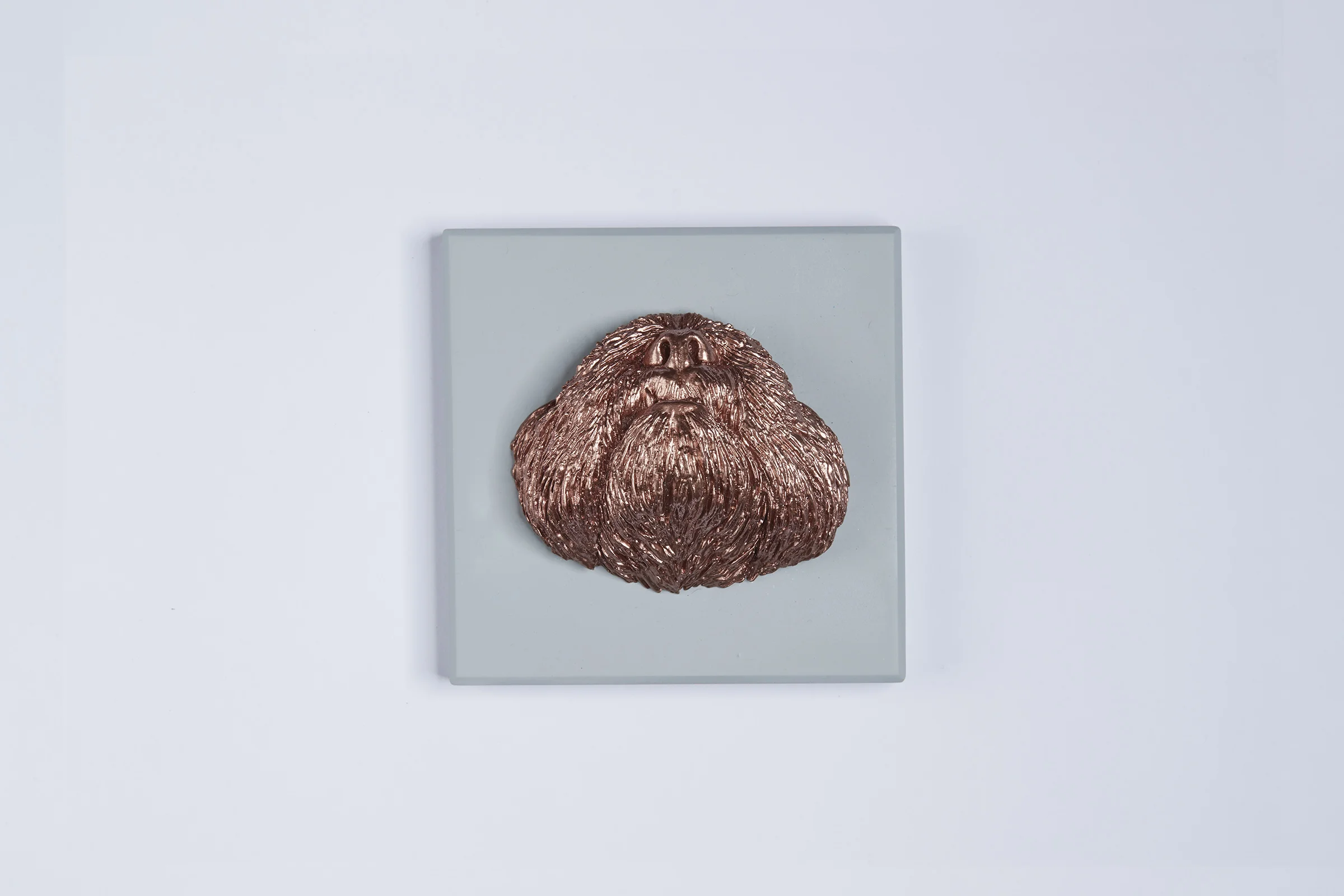 Hughie: Shih-tzu (limited edition)