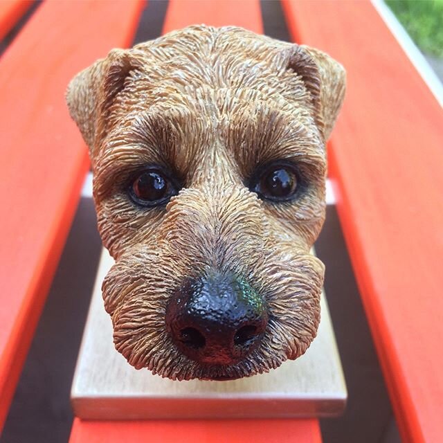 Meet Baxter. He&rsquo;s just waiting for some finishing touches on his 1/2 life size bust. He&rsquo;s kept me sane this last few weeks. 
#dog #dogsofinstagram #dogportrait #dogsculpture #terrierrescue #terrier #boopmynose