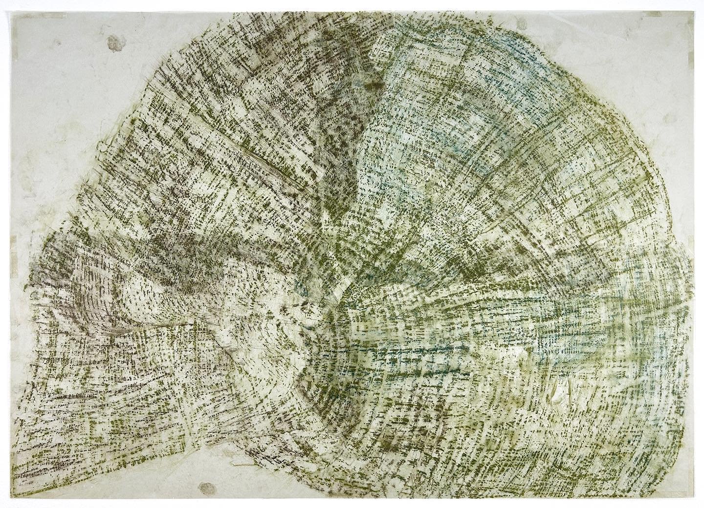 &lsquo;Cob&rsquo;. Chalk on cut tracing paper on paper  50 x 70cm. From the suite of drawings - drawing &lsquo;trialogue&rsquo; project - with Paul Gough (UK) and Henriette Leinfellner (Austria) @paulgough136 @henrietteleinfellner #paulgough  #henrie