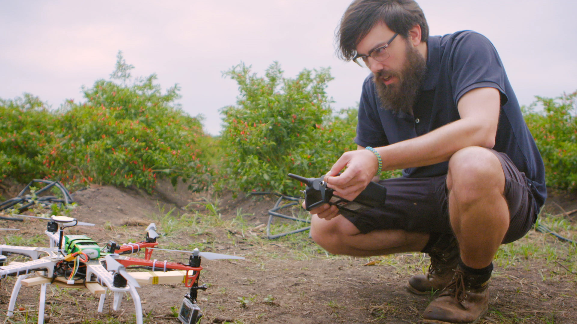 Nando's - Drone Harvest