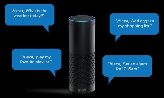 Echo3.jpg