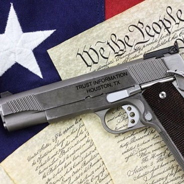 gunConstitution.jpg