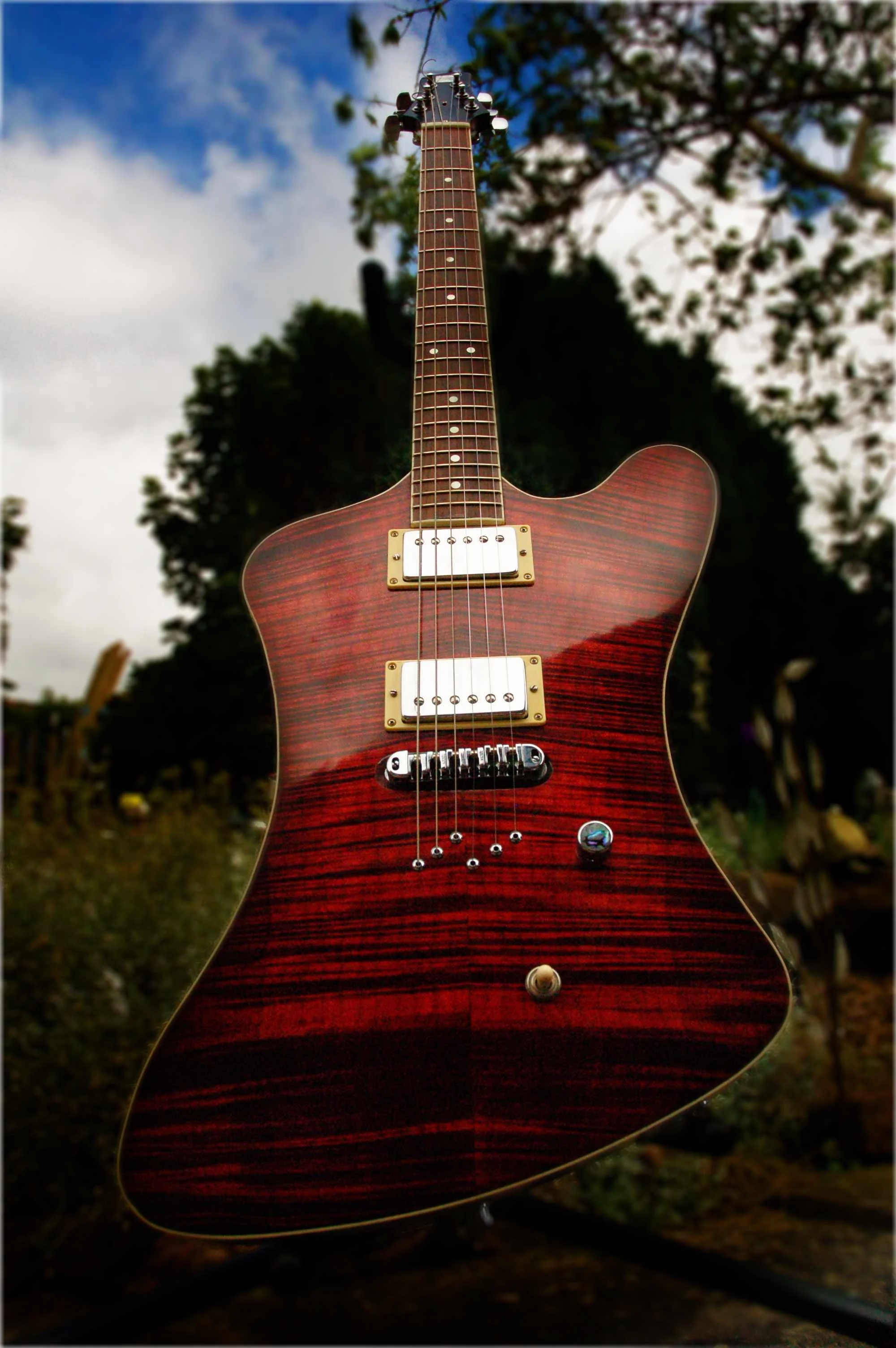Firebird 1.jpg