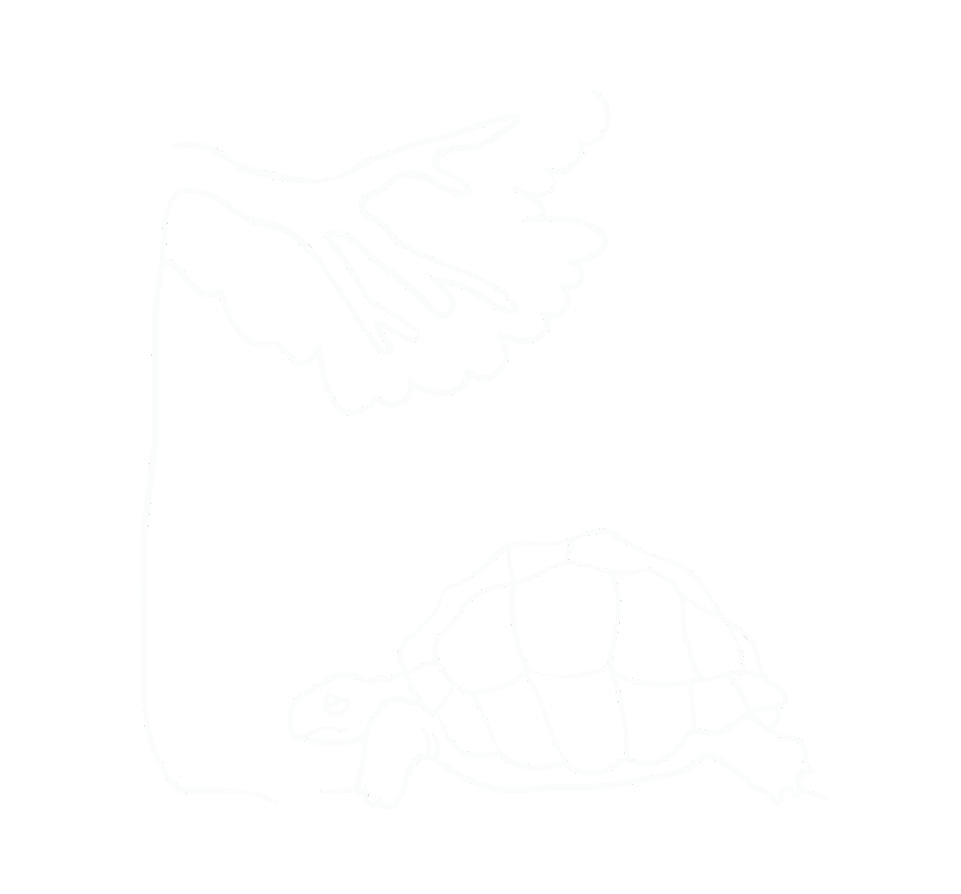 Web Illustration- Sad tortoise.png