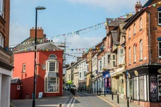 An image of Cardigan High Street in the summertime