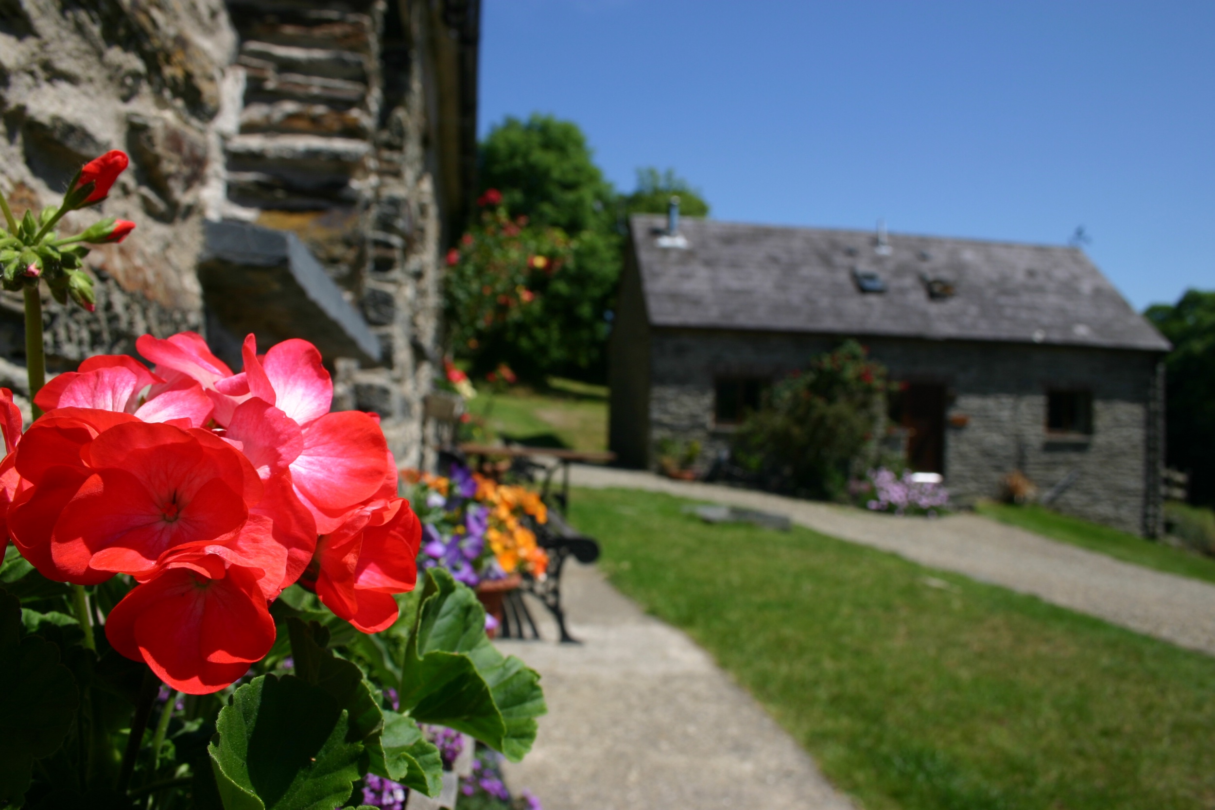 Five Star Secluded Holiday Cottages Cardigan Bay Wales