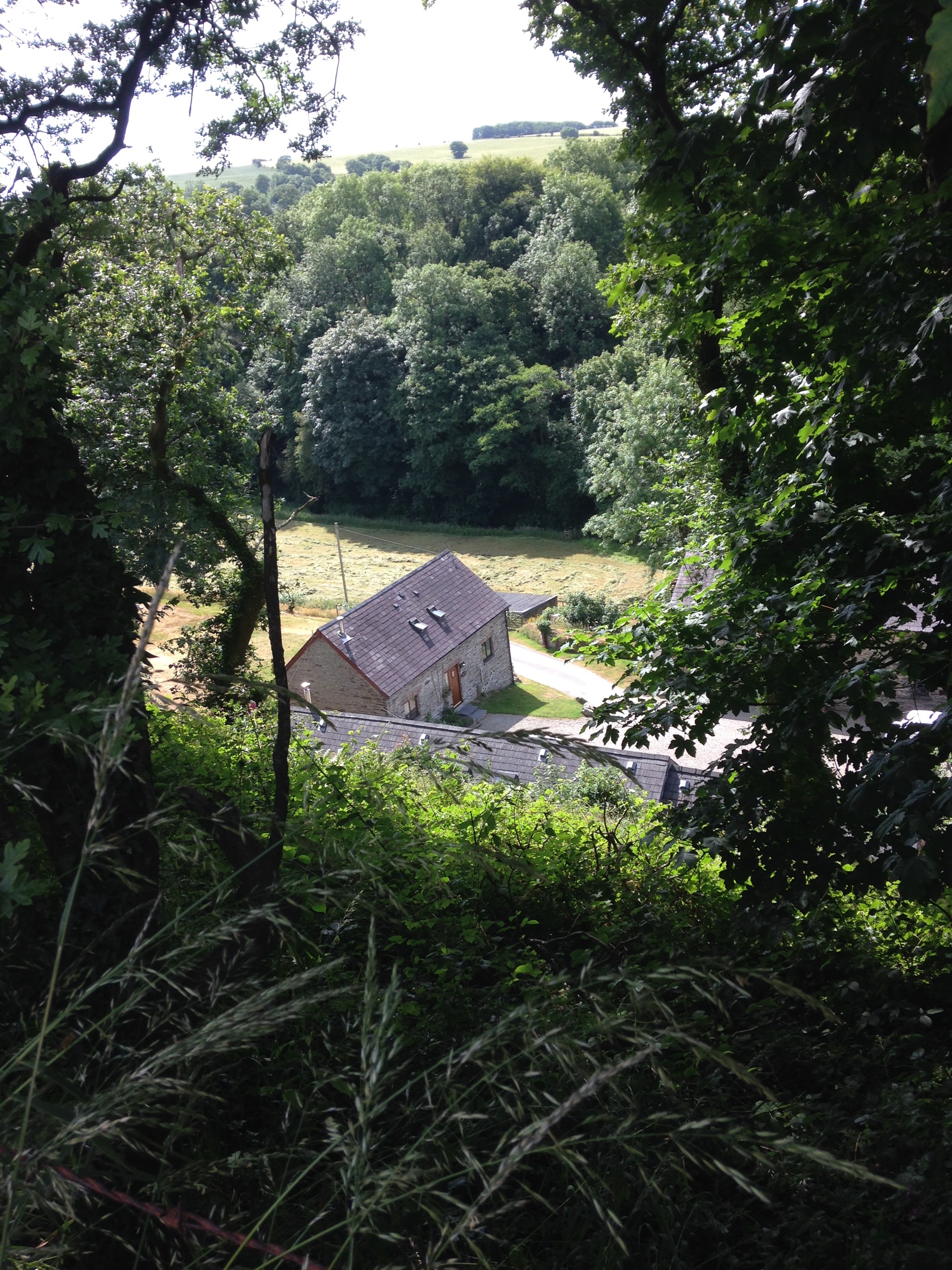 IMG_1347.jpeg