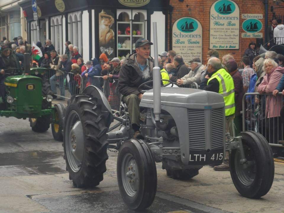 Barley Saturday, Parade of Stallions, Cardigan, West Wales — Five Star ...