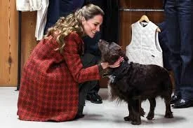 The One Where a Princess Came to Visit! 