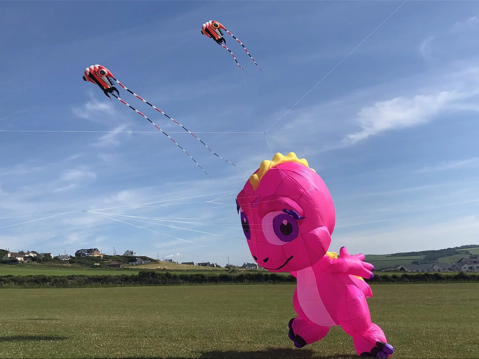 Soaring High: The Cardigan Kite Festival in June