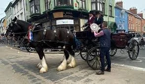 Barley Saturday / Dydd Sadwrn Barlys - Parade of Stallions