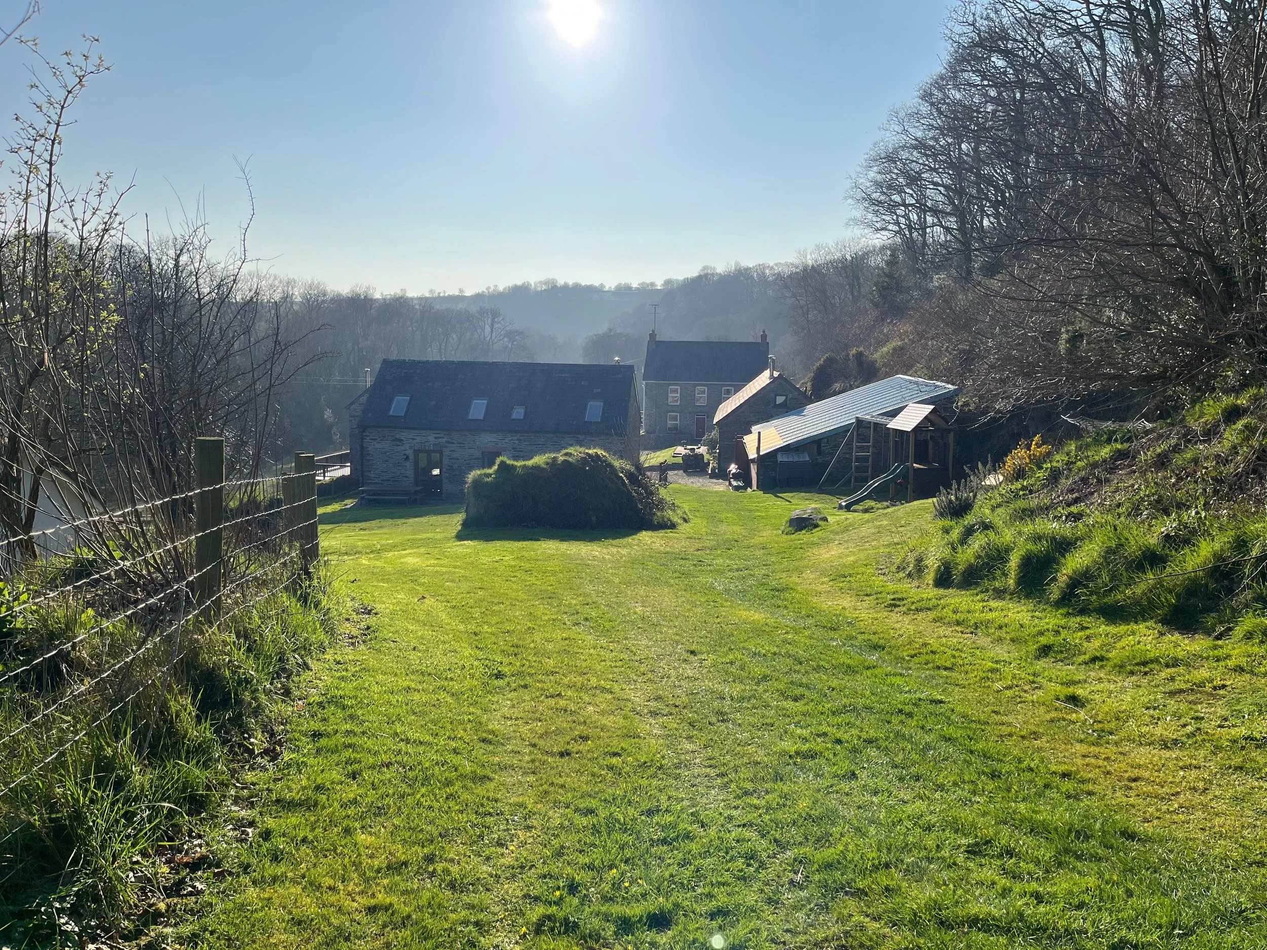 A sunny day in a rural area with a grassy path leading to houses and trees, with the sun shining brightly in the sky.