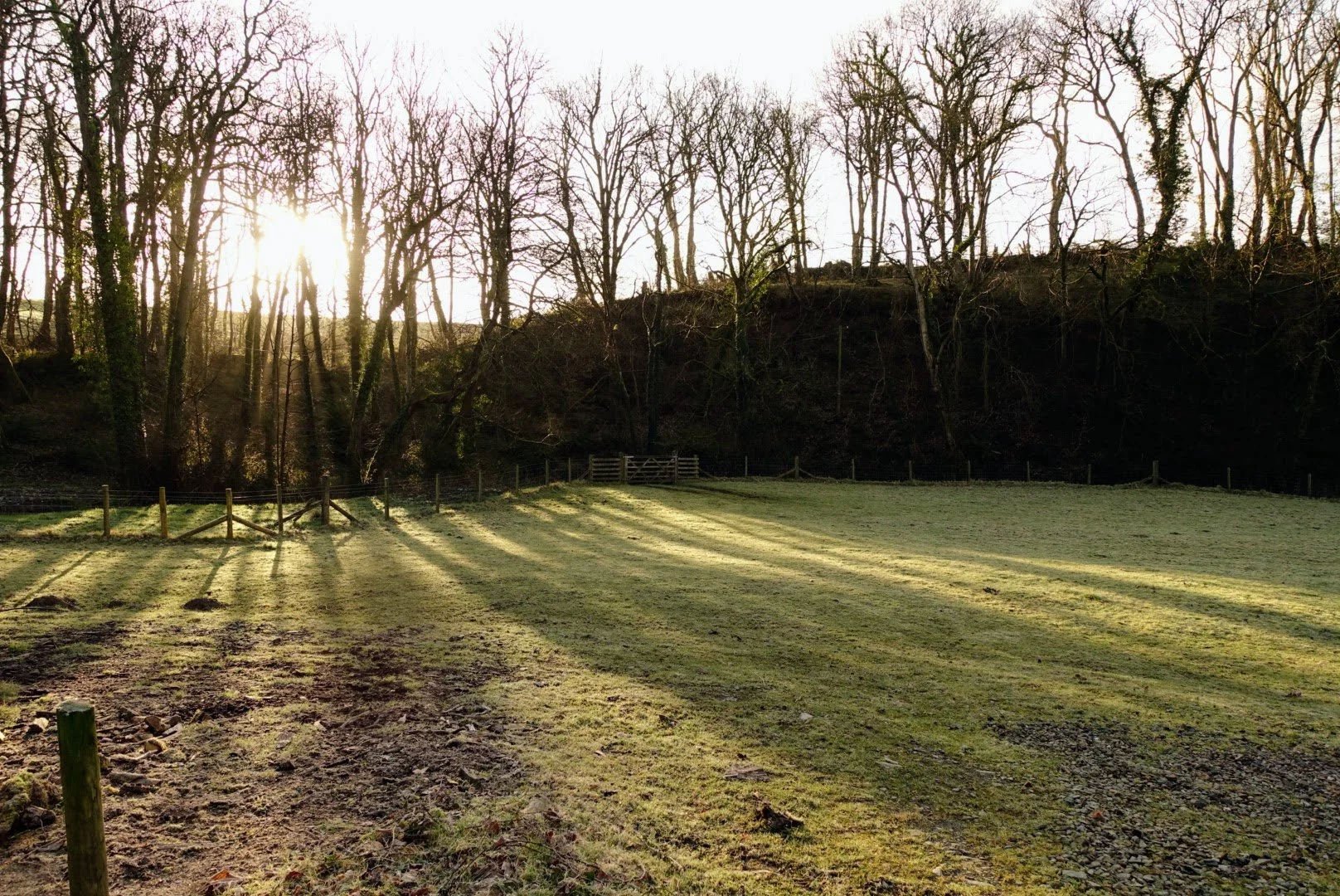 A slow and peaceful morning at Troedyrhiw