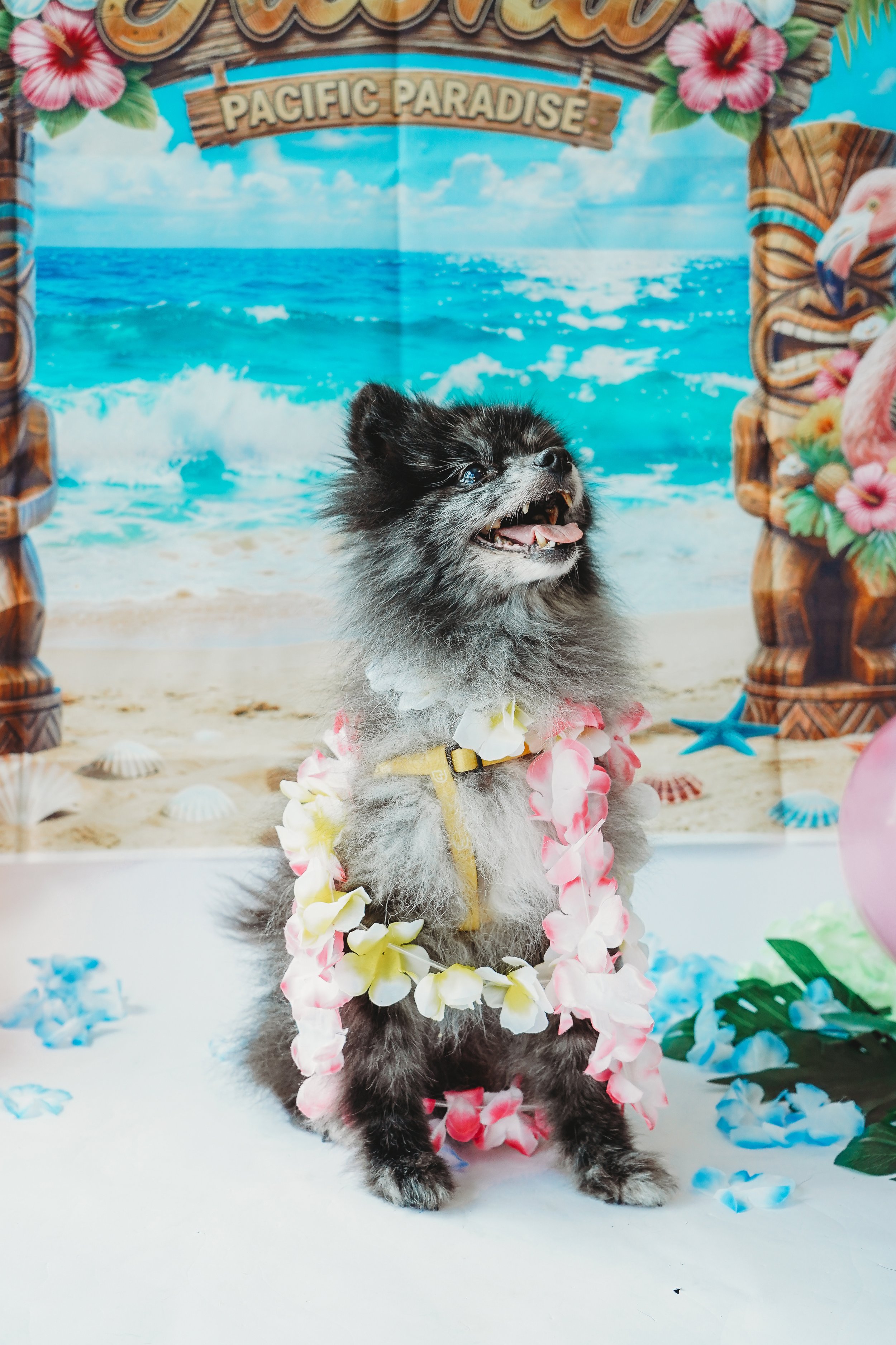 CoCo-20.jpg